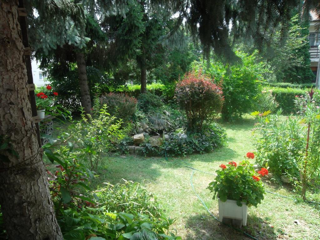 Haus Gizella Hotel Harkany Bagian luar foto