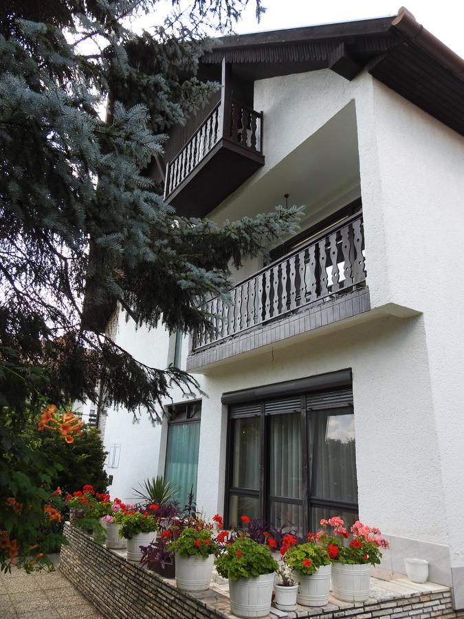 Haus Gizella Hotel Harkany Bagian luar foto